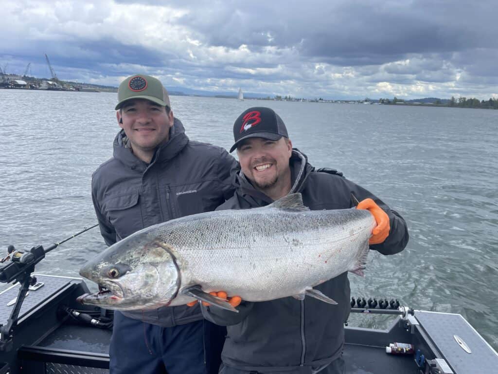 A nice Columbia River Spring chinook caught near Portland, Oregon